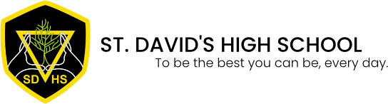 St David's High School
